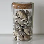 Apartamento Familie Schwarze *