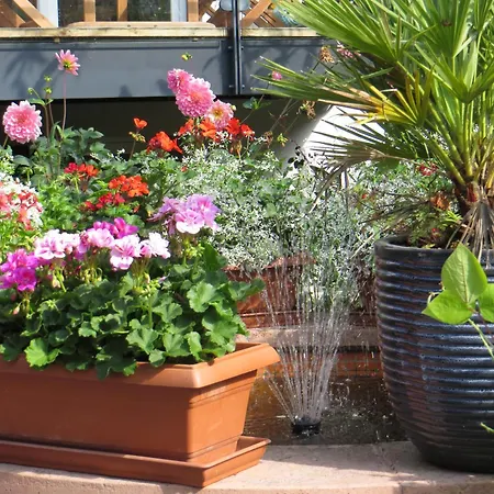 Familie Schwarze 그렌자흐뷜렌