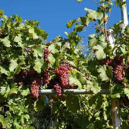 شقة Familie Schwarze *