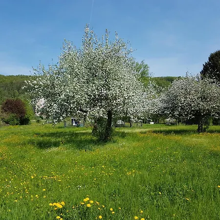 Familie Schwarze Appartamento Grenzach-Wyhlen